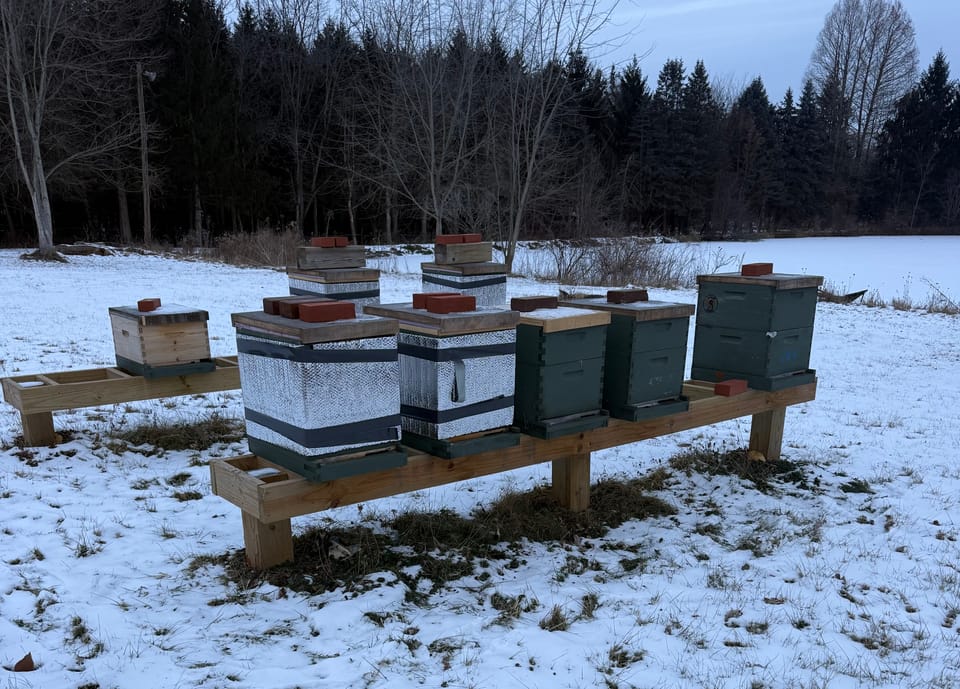 Winter and the harsh reality